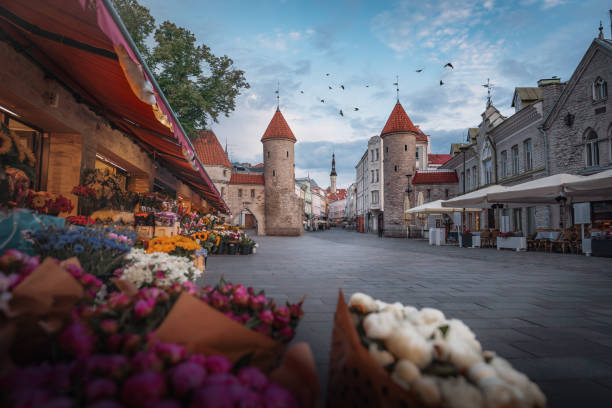 porta di viru con il municipio di tallinn sullo sfondo - tallinn, estonia - tallinn foto e immagini stock