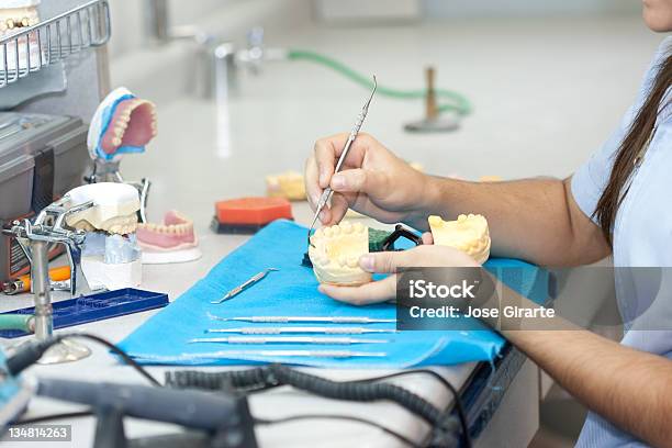 Foto de Técnico Vista Lateral De Dentista e mais fotos de stock de Adulto - Adulto, Anatomia, Artesão