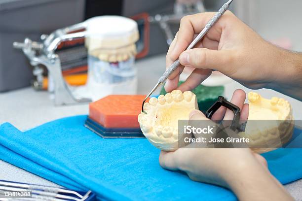 Dental Tecnico - Fotografie stock e altre immagini di Adulto - Adulto, Ambulatorio dentistico, Anatomia umana