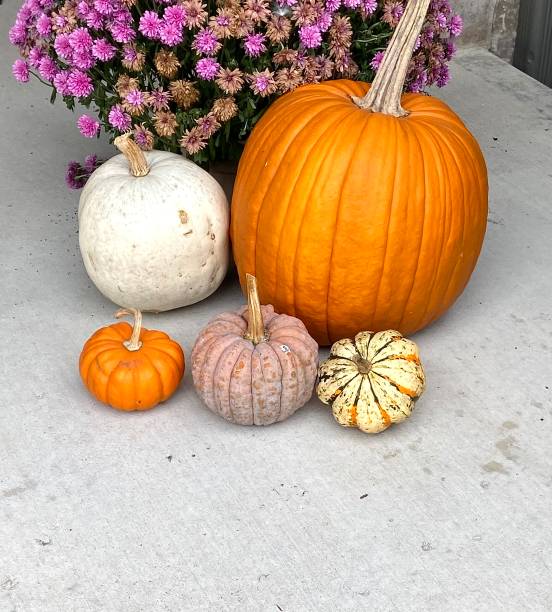 istock Group of decorative pumpkins on a porch. 1348144637