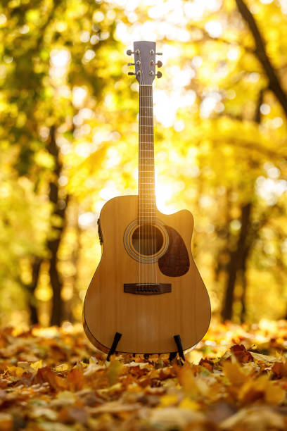 istock Acoustic guitar in autumn background. 1348144762