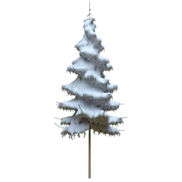 istock Winter fir tree under the snow isolated on white background 3d illustration 1348149066