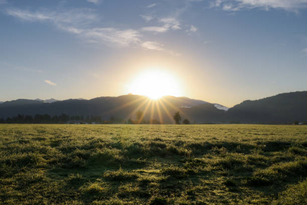 Sunrise over Sumas Prairie Abbotsford Sun rising over Sumas Prairie in Abbotsford BC abbotsford canada stock pictures, royalty-free photos & images