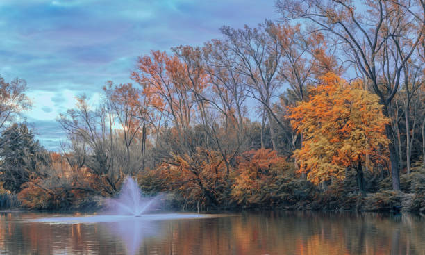 malden park - scena d'autunno - malden foto e immagini stock