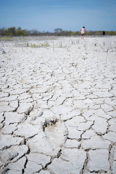 istock Footprints in cracked mud flats, Rio Lagartos 1348167034