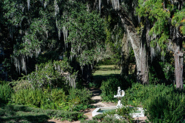 istock Serene spot to relax at Rosedown Plantation 1348167083