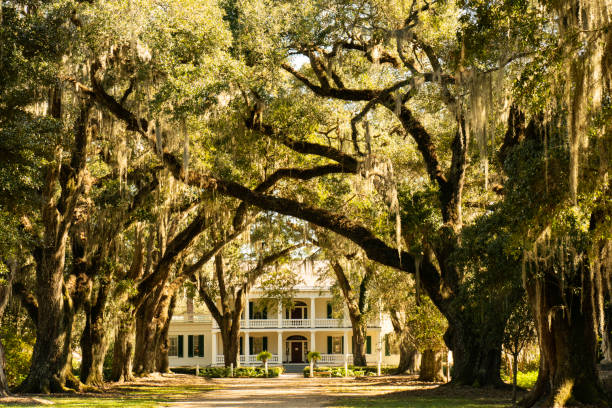 Rosedown Plantation, built in 1834 by Daniel Turnbull one of America's wealthiest families, had 25 houses on this cotton plantation that once had 145 slaves. Now a historic site and popular tourist stop for tourists, this home has original furnishings and Versailles- inspired gardens and a live oak canopy. Located downtown in St. Francisville, Louisiana, USA
