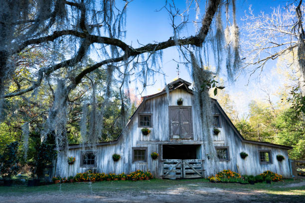 istock Faded barn in Autumn in American South 1348167097