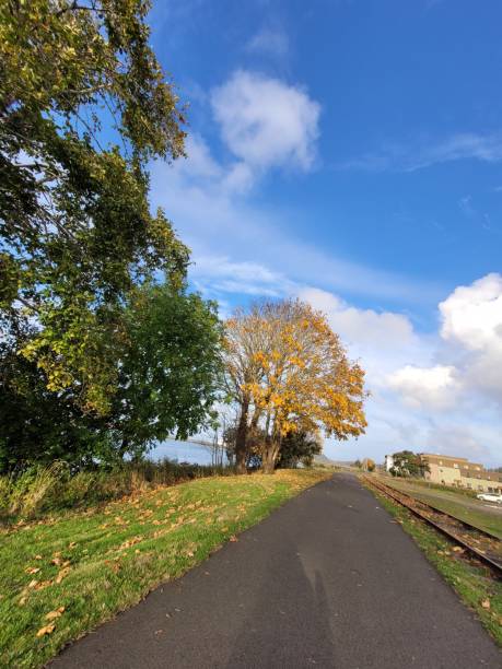 istock Autumn Trees on the Columbia River Walk 8 1348170076