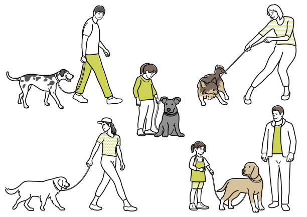 가죽 끈에 자신의 개를 걷는 행복한 사람들의 세트. 벡터 간단한 평면 선 도면. - pet walking stock illustrations