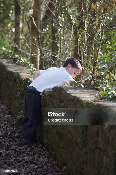 Kleiner Junge Spielt Auf Stone Wall Stockfoto und mehr Bilder von 2-3 Jahre - 2-3 Jahre, 4-5 Jahre, Aktivitäten und Sport