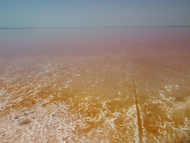 Aerial drone footage of a pink salt lake on a beautiful summer evening. Aerial view of a dried pink salt lake on a beautiful summer evening. Aerial view of a drying out salt lake. volando sobre un lago salado rosado. instalaciones de producción de sal salina campos de estanques de evaporación salina en el lago salado. dunaliella salina imparte un agua roja y rosada en un lago mineral con costa salada cristalizada seca