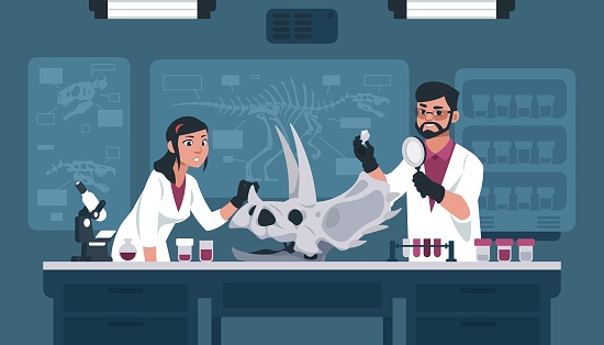 Scientists with fossil in lab. Cartoon archeology and paleontology explorers examining prehistoric bone evidence. Man and woman explore dinosaur skeleton. Vector professors in university laboratory