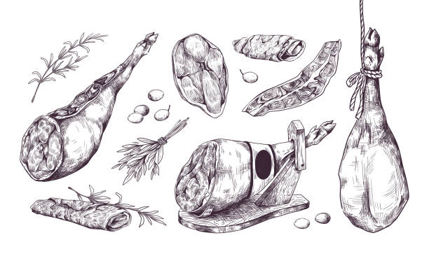 illustrations, cliparts, dessins animés et icônes de jambon dessiné à la main. jambon espagnol spécial. esquisse de viande délicieuse isolée. tranches de porc au romarin et à l’olive. dessin prosciutto noir et blanc. illustration vectorielle du menu du restaurant - butchers shop butcher meat delicatessen