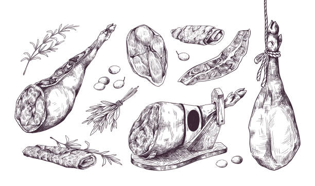 Hand drawn jamon. Special Spanish leg ham. Isolated delicious meat sketch. Pork slices with rosemary and olive. Prosciutto black and white drawing. Vector restaurant menu illustration Hand drawn jamon. Special Spanish leg ham. Isolated delicious meat pieces sketch. Pork slices with rosemary and olive. Vintage prosciutto black and white drawing. Vector restaurant menu illustration serrano chili pepper stock illustrations
