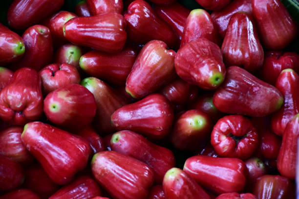 Closeup of Fresh Rose apple fruits for sale on a market or supermarket in Thailand. Concept of healthy eating. Closeup of Fresh Rose apple fruits for sale on a market or supermarket in Thailand. Concept of healthy eating. water apple stock pictures, royalty-free photos & images