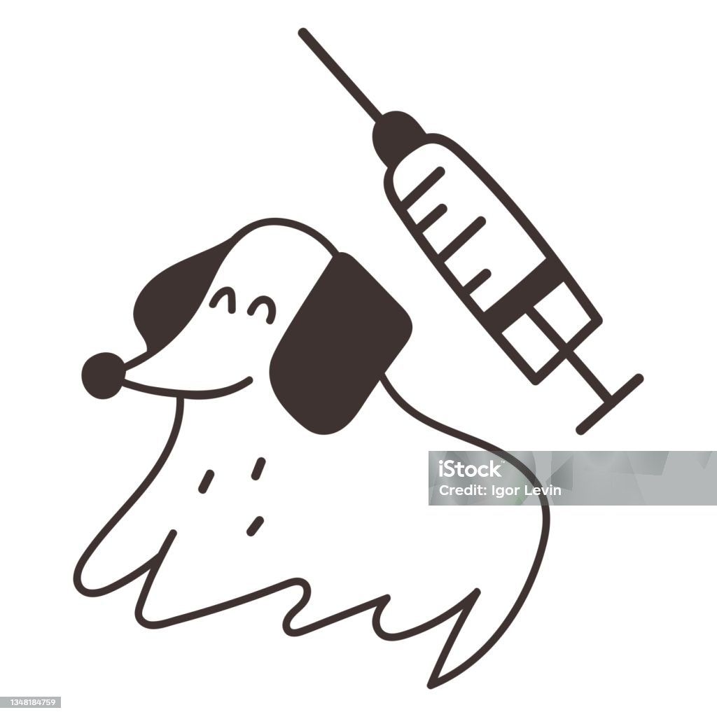 Dachshund. Ikon. Vaksinasi anjing. - Bebas Royalti Alat suntik vektor stok Dachshund. Ikon. Vaksinasi anjing. - Bebas Royalti Alat suntik vektor stok