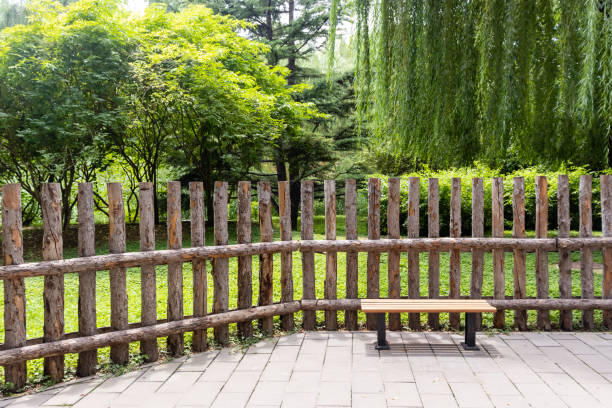 Green tree fences and benches in the park