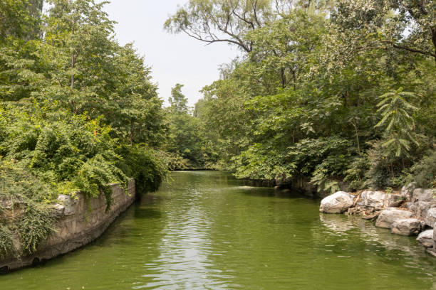 istock The lake in the park 1348185078