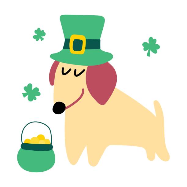 ilustraciones, imágenes clip art, dibujos animados e iconos de stock de lindo perrito perro salchicha con sombrero de disfraz para el día de san patricio. - st patricks day dog irish culture leprechaun