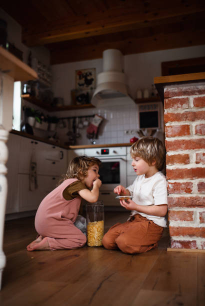 istock Two small children indoors at home, eating cornflakes on floor. 1348187025