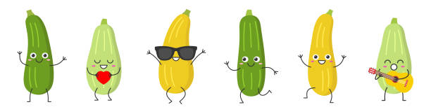 ilustrações de stock, clip art, desenhos animados e ícones de set squash zucchini character cartoon face smiling joy vegetable jumping running loves sings marrow happy courgette emotions icon vector illustration. - zucchini squash marrow squash vegetable