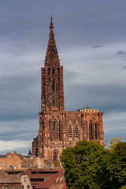 vista da catedral de estrasburgo na alsácia - strasbourg cathedral - fotografias e filmes do acervo