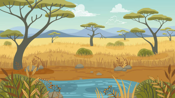 ilustraciones, imágenes clip art, dibujos animados e iconos de stock de vida silvestre, paisaje africano vectorial en estilo de dibujos animados planos - plain