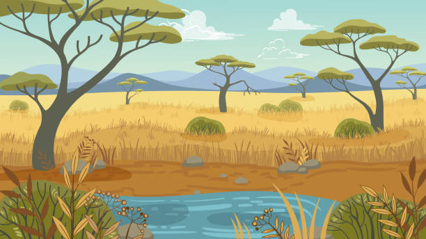 illustrations, cliparts, dessins animés et icônes de faune, paysage africain vectoriel dans un style de dessin animé plat - plaine caractéristiques de la terre