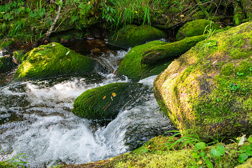 Mountain stream quickly flowing through mountain stones covered with green moss
