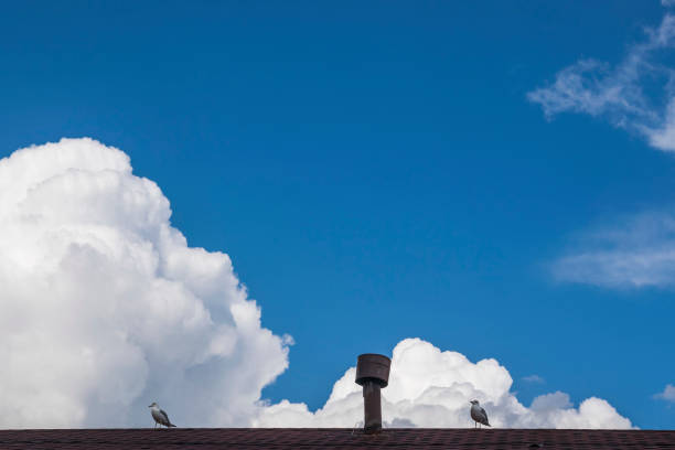 Two seagulls on the canopy of a tiled roof against a background of beautiful clouds