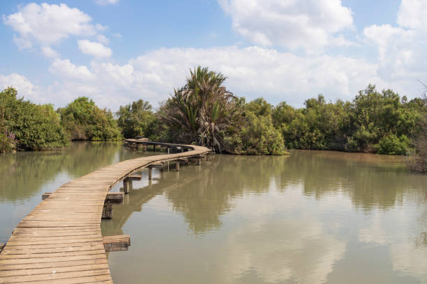 istock View of pond with trees around with clouds reflecting in the water. 1348200545