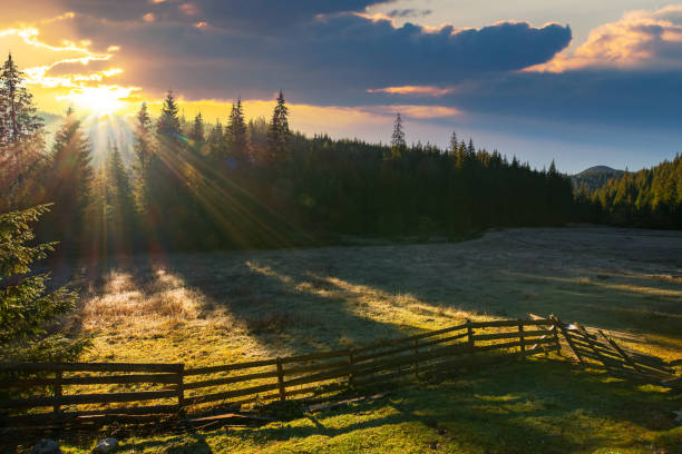 istock countryside landscape with spruce forest in the valley 1348203534