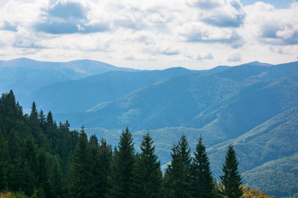 istock carpathian forested mountains in autumn 1348203543