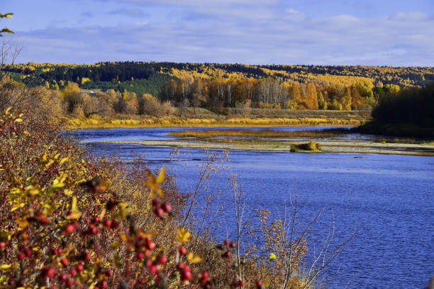 istock Crimson and gold-clad forests 1348204009