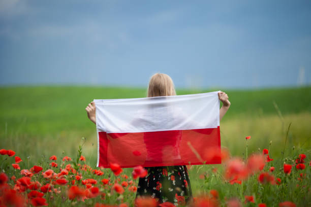 blondes mädchen mit flagge polens im mohnfeld. rückansicht. tag der polnischen flagge. unabhängigkeitstag. reisen und polnisch lernen konzept. - poppy field remembrance day flower stock-fotos und bilder