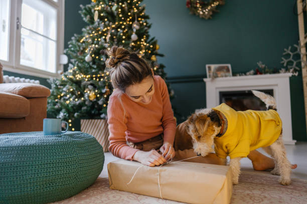 Wrapping Christmas presents together stock photo