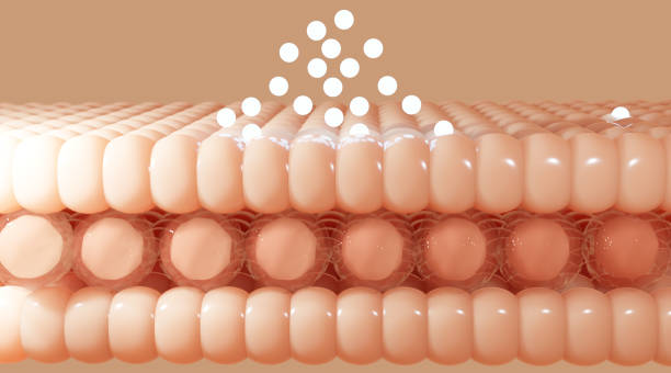 istock Serum and vitamin drop on skin cell 1348210527