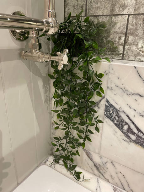 imagen de la suite de baño de lujo con paredes y baldosas de mármol blanco / gris, bañera de cerámica blanca, lavabo, inodoro wc, baño con grifo mezclador victoriano de acero inoxidable y plomería de ducha, plantas de arrastre artificiales, espejos,  - reflection on the water fotografías e imágenes de stock