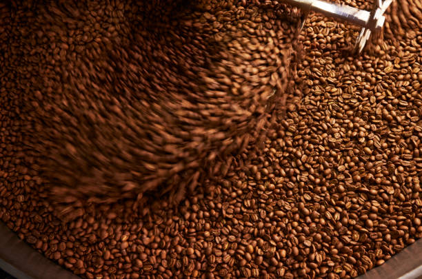 istock Roasting machine drum, spin around and move coffee beans for perfect roast. Coffee roasting process in small business company. 1348220695