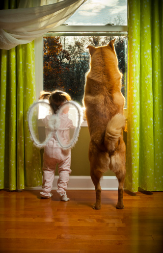 Baby girl and dog watching outside the window