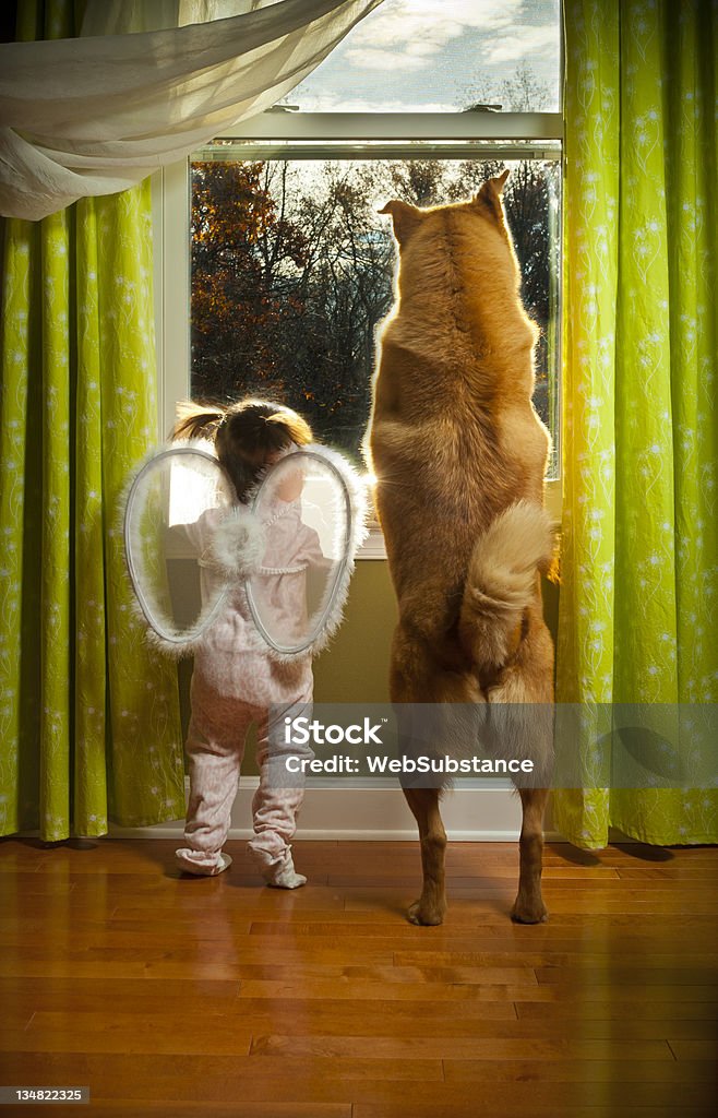 Toddler and dog looking out the window Baby girl and dog watching outside the window Child Stock Photo