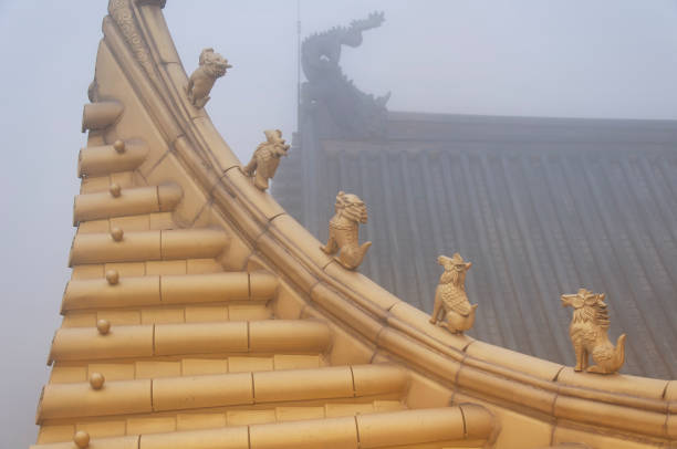 архитектурные детали туманный день эмэйшань китай - emeishan стоковые фото и изображения