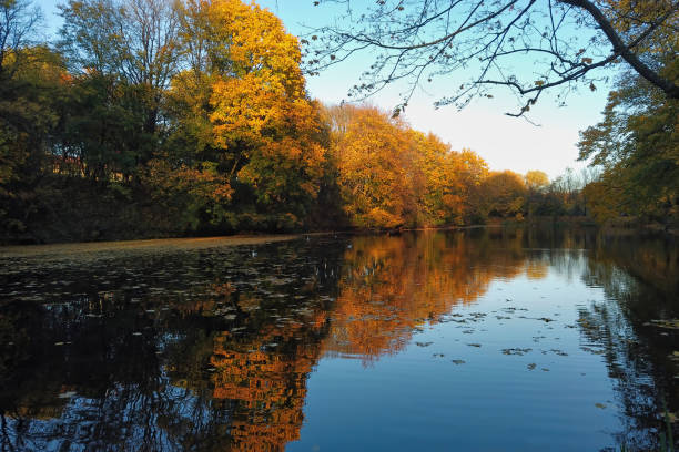 istock Autumn landscape colorful trees reflected in pond 1348224711