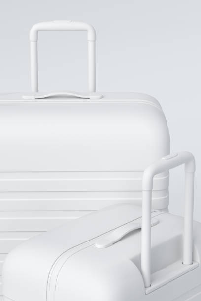 Colorful suitcase or baggage on monochrome background. 3D render of summer vacation concept and holidays