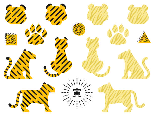 ilustraciones, imágenes clip art, dibujos animados e iconos de stock de conjunto de iconos de cara de tigre y forma de cuerpo con patrón de tigre - dedo del pie animal