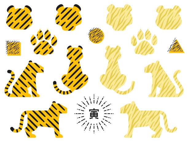 ilustrações de stock, clip art, desenhos animados e ícones de icon set of tiger face and body shape with tiger pattern - undomesticated cat white background pattern isolated