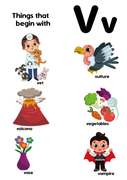 Letter V With Vulture Animal For Kids Abc Education In Illustrations,  Royalty-Free Vector Graphics & Clip Art - iStock
