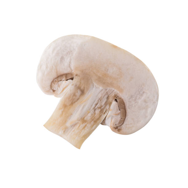 istock White champignon mushrooms, Champignon Isolated on White Background 1348228484