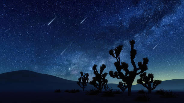 Desert landscape with falling stars in night sky Desert landscape with Joshua tree silhouettes and fantastic night sky with Milky Way galaxy and falling stars or meteors. With no people natural background 3D illustration from my 3D rendering. meteor shower stock pictures, royalty-free photos & images